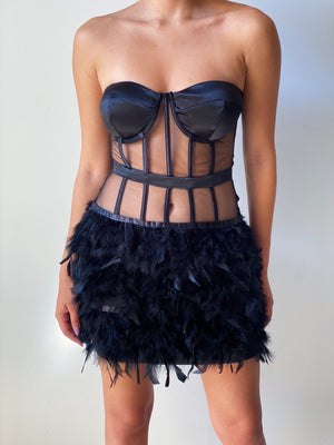 Black Swan Dress